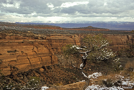 Colorado National Monument Upper Ute Canyon